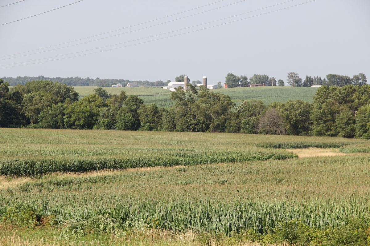 Heatons CreekWapsipinicon River Upper Wapsi River Watershed