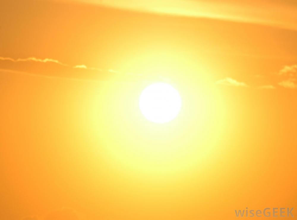 Don't Let Your Plants Die while On Vacation, Follow These 7 Ways to