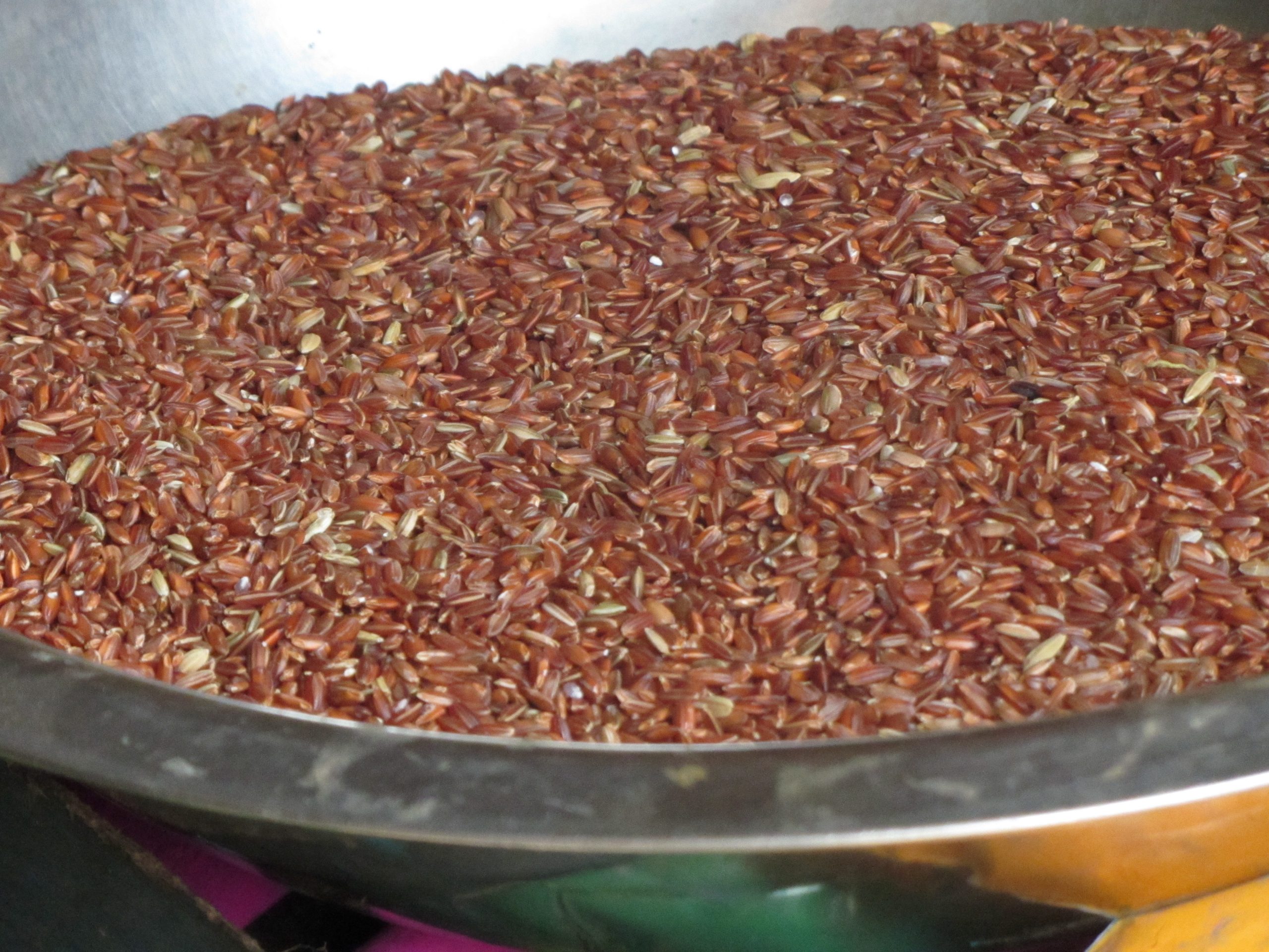 Heirloom Red Rice Uproot PH