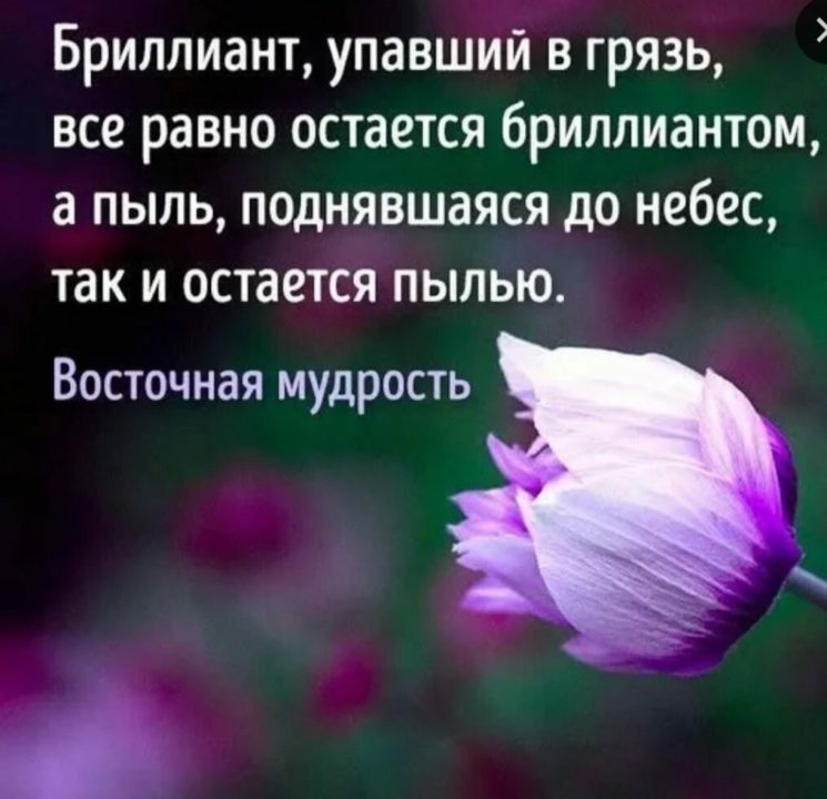 245 картинок со смыслом о жизни