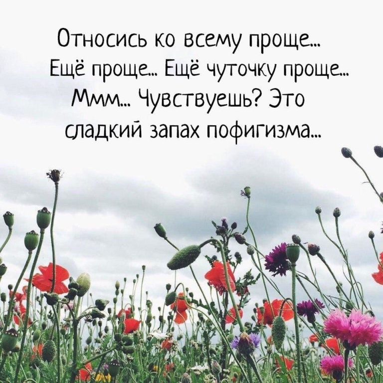 245 картинок со смыслом о жизни