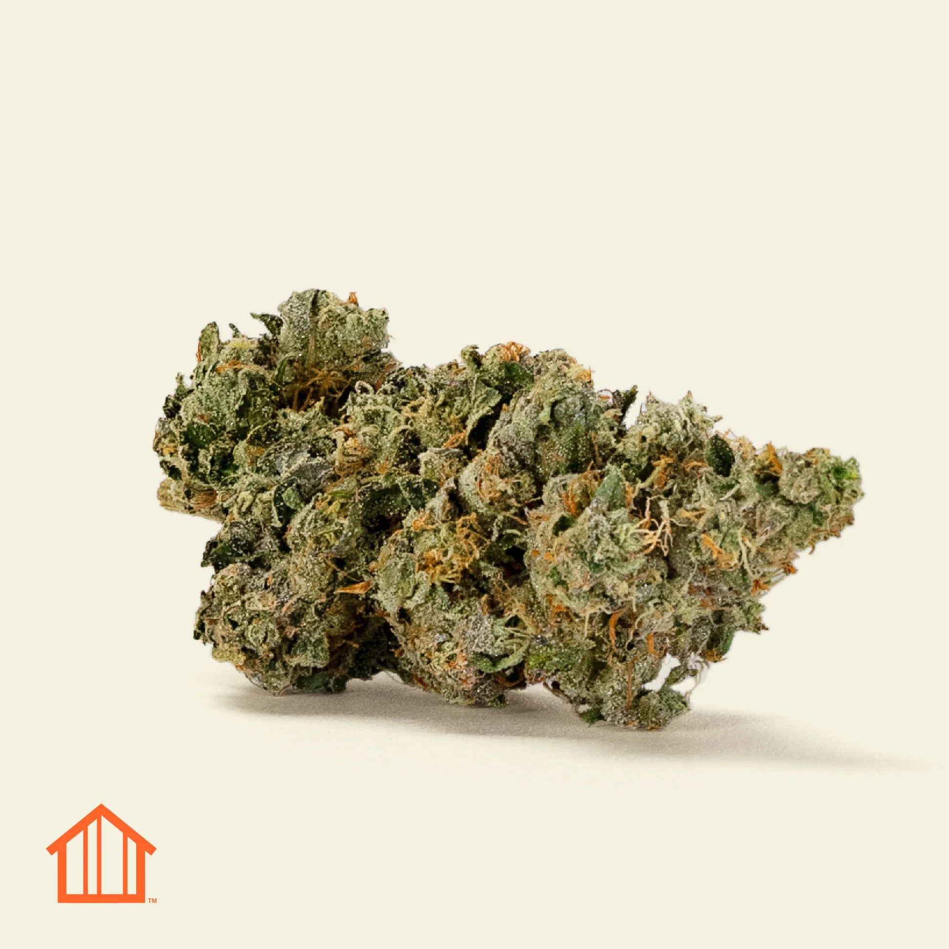 The Best Strong And Tasty Weed Strains For Halloween