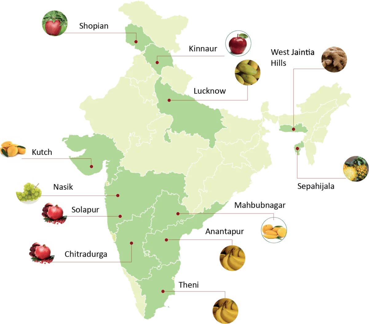 [Agriculture] Horticulture Clusters of India UPSCTREE