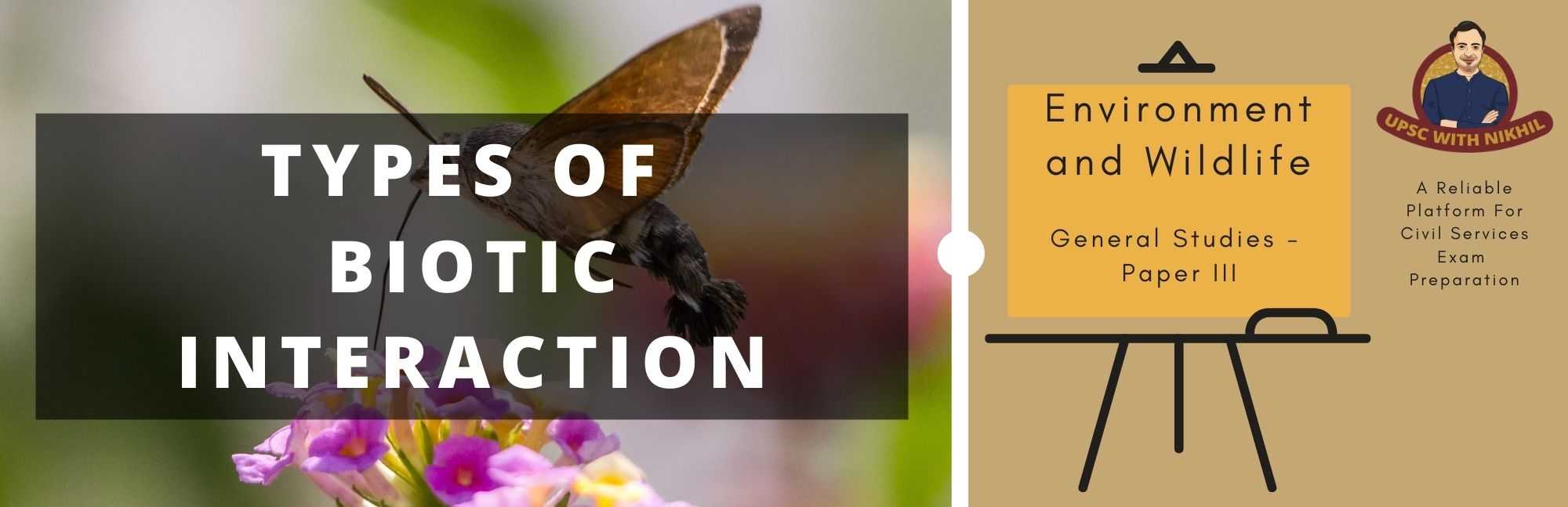 Types of Biotic Interaction