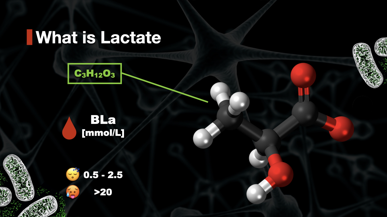 High Lactate Levels During Exercise What Causes Them?