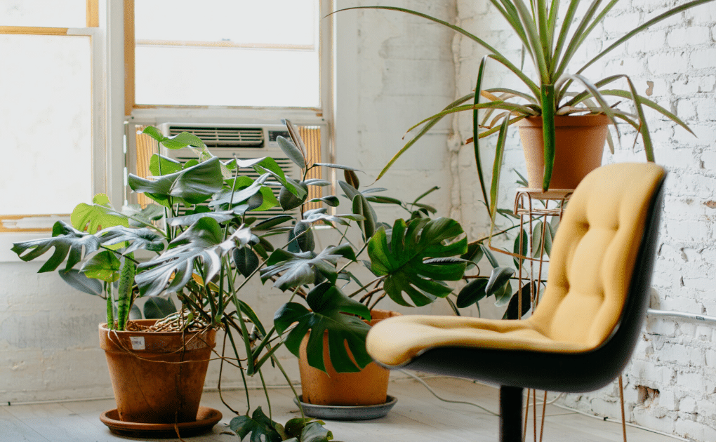 Northern Beaches Commercial Real Estate is on the way up! Upstate