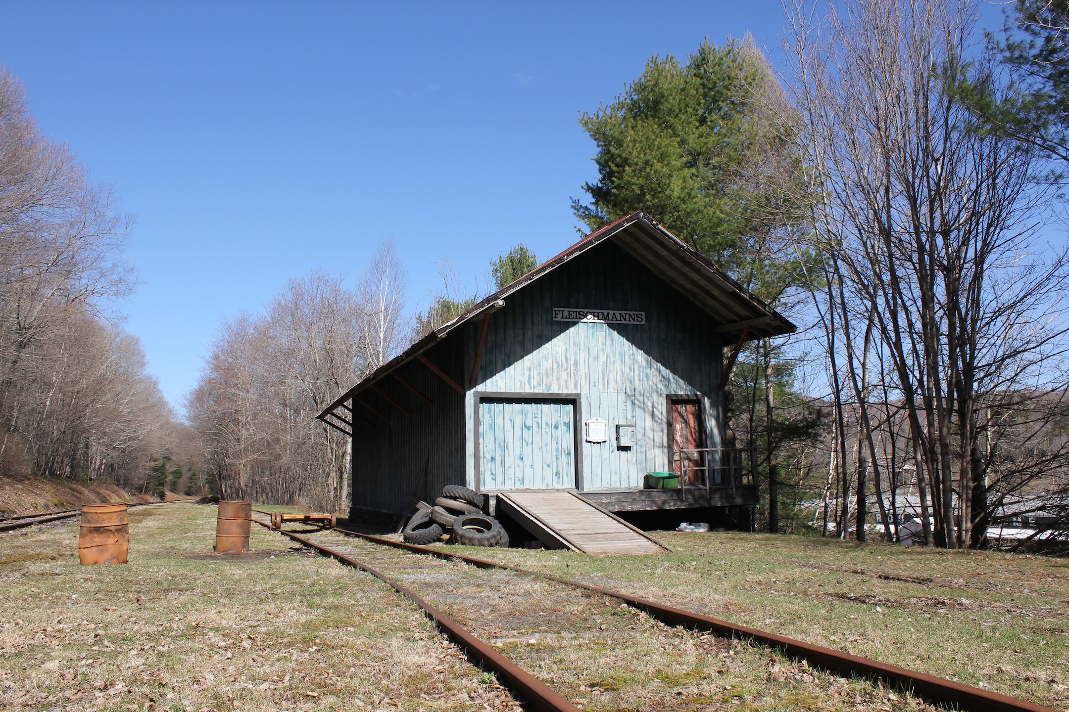 Fleischmanns New York UPSTATE DISPATCH