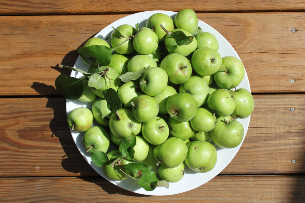 Wild Apples UPSTATE DISPATCH