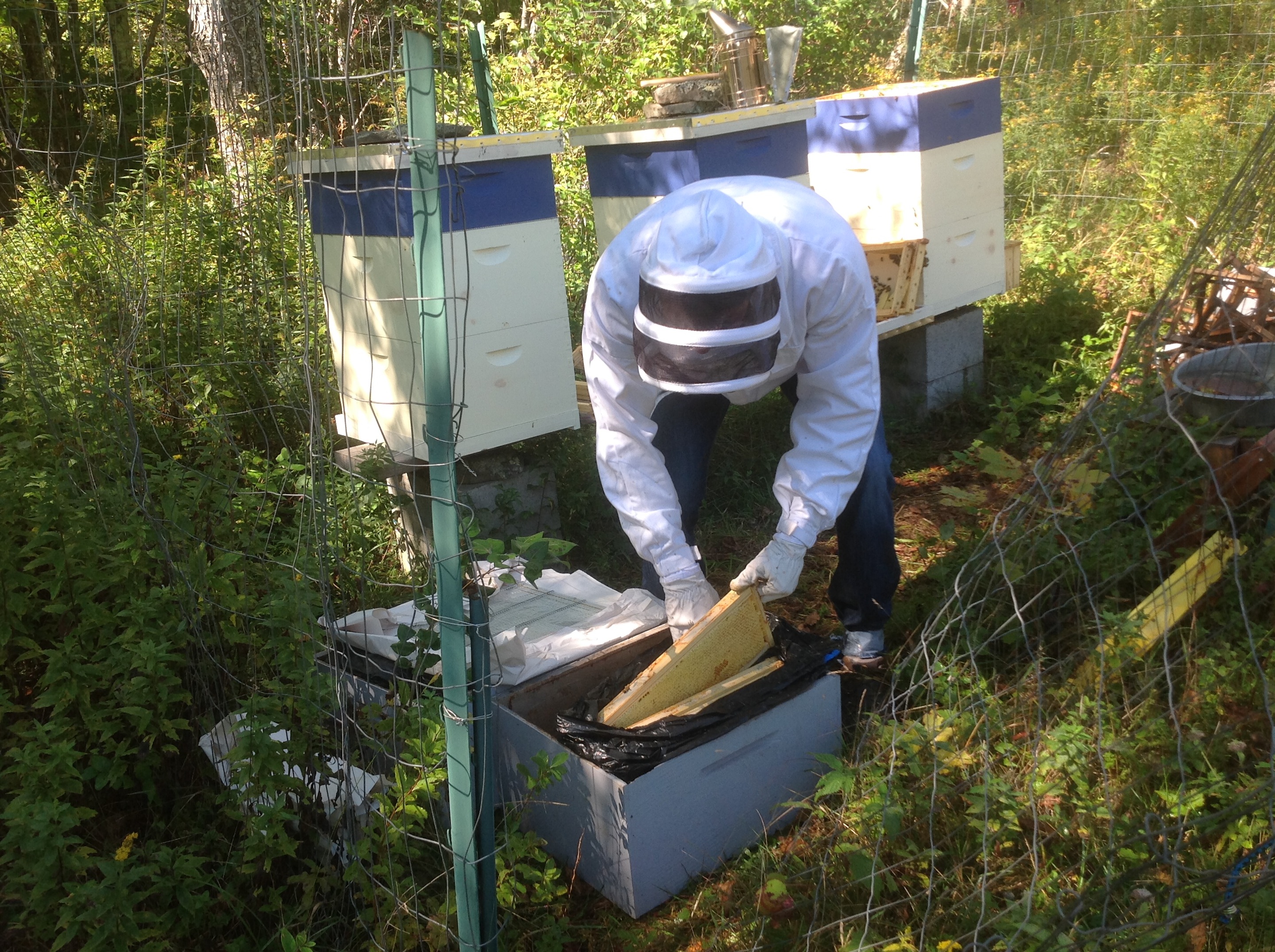 Chasing Honey Farms Spring Update UPSTATE DISPATCH