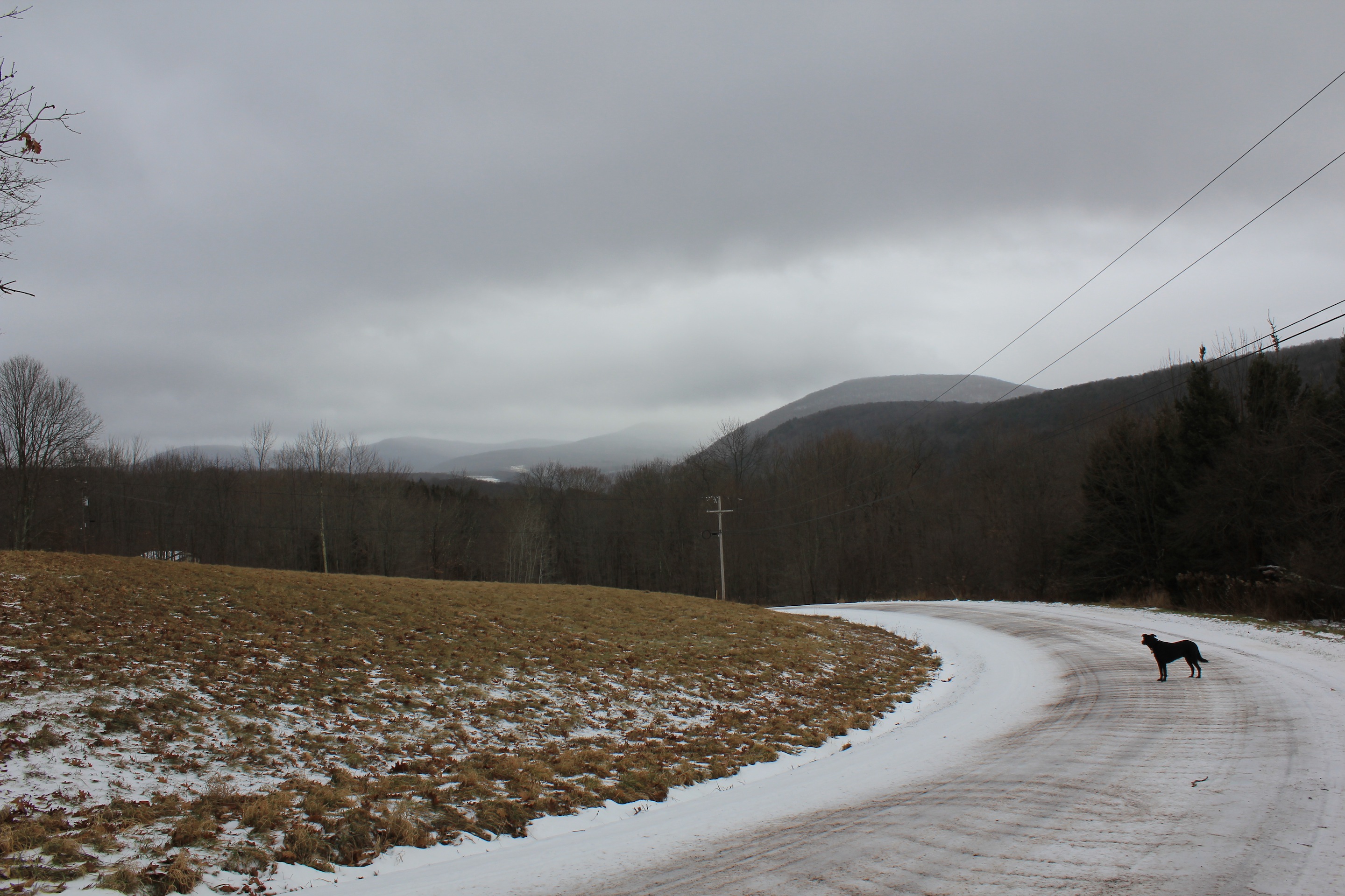 Snow in the Catskills UPSTATE DISPATCH