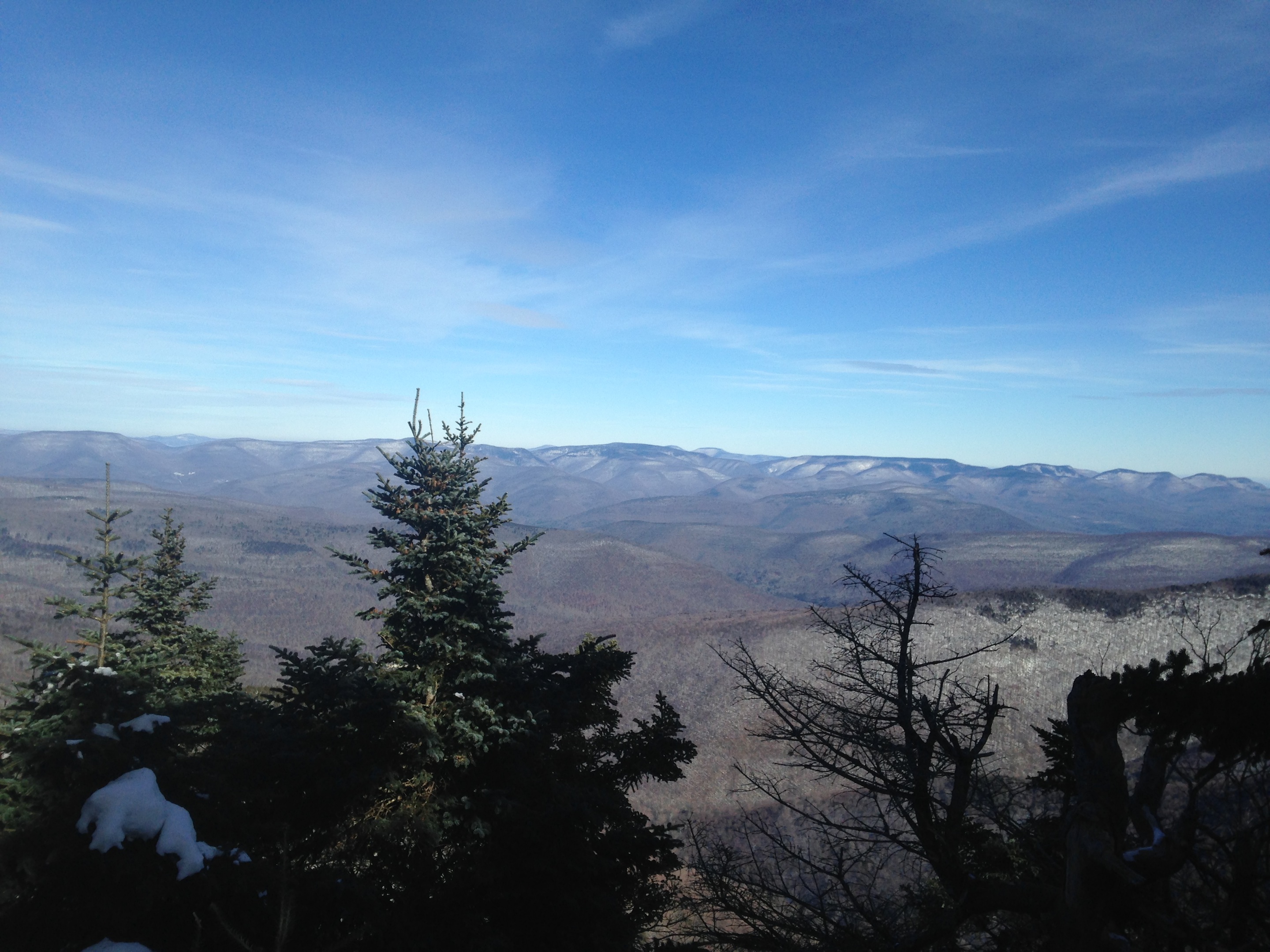 Daily Catskills 01/24/16 UPSTATE DISPATCH