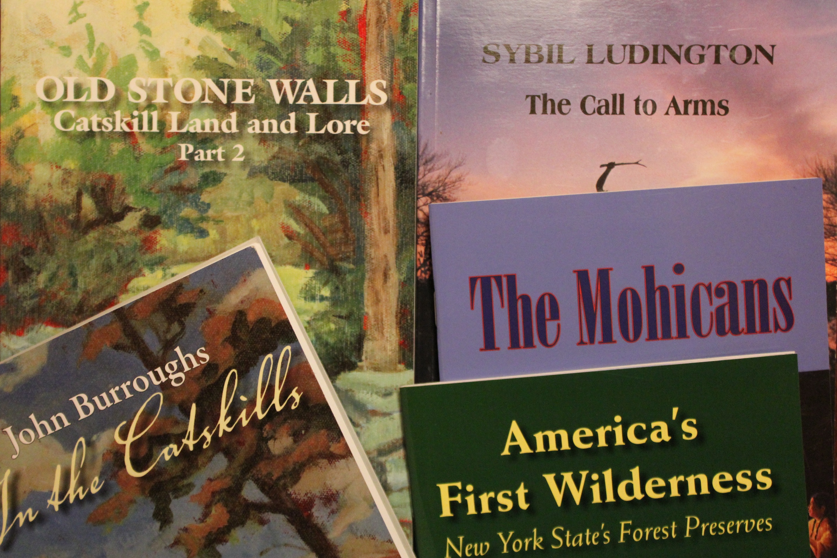 Purple Mountain Press in Fleischmanns, New York UPSTATE DISPATCH