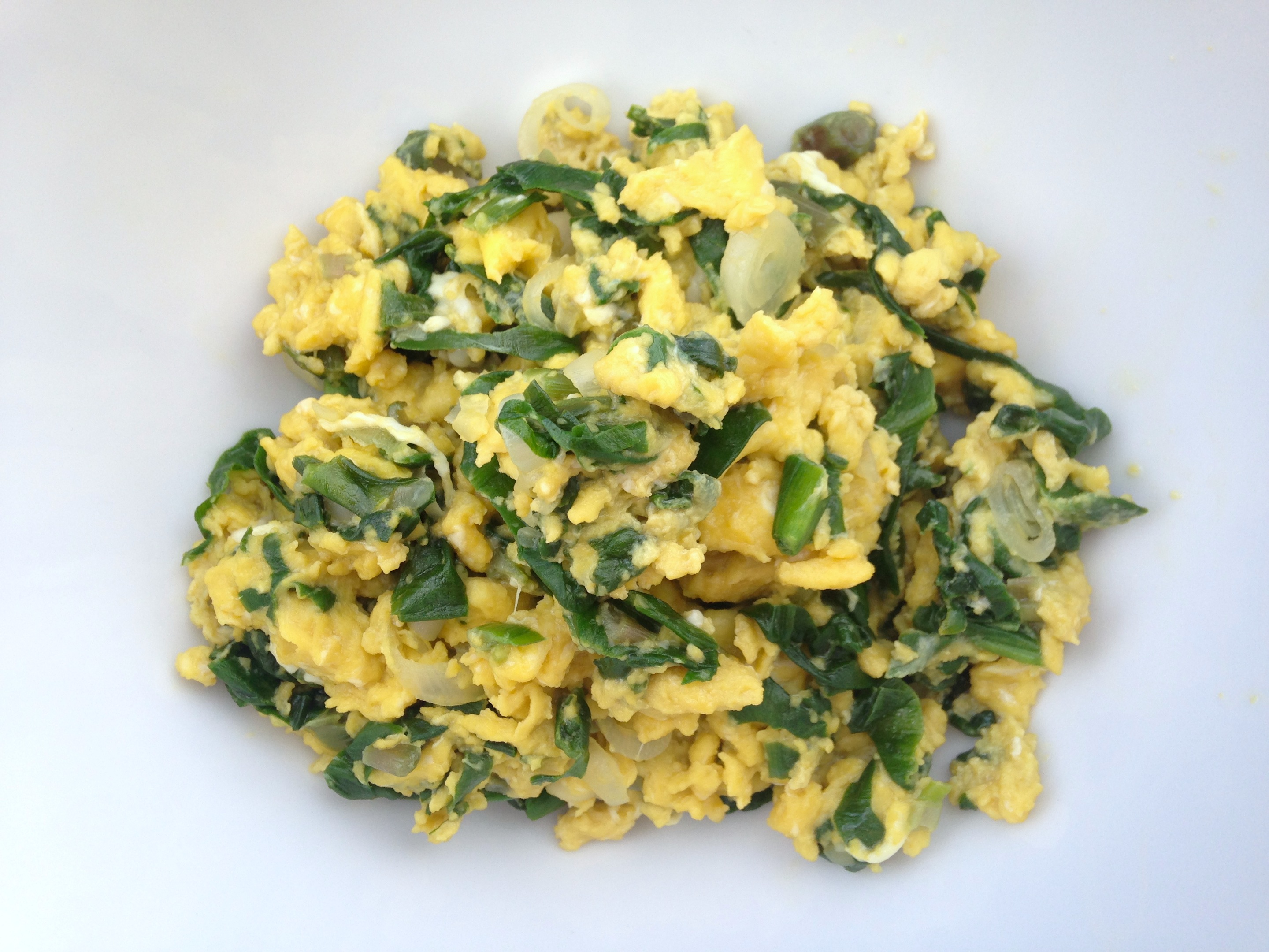 Wild leeks & Scrambled Eggs UPSTATE DISPATCH