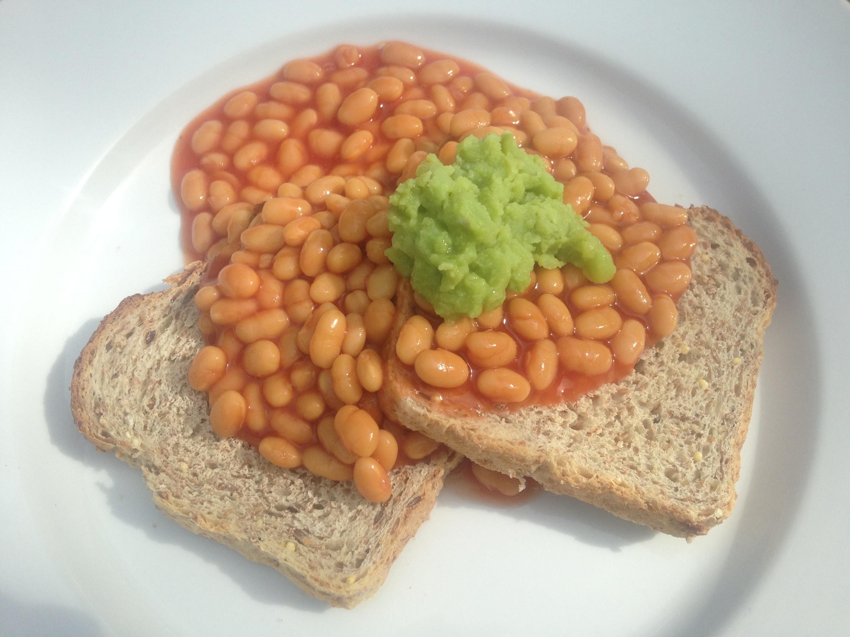 Beans on Toast in the Catskills UPSTATE DISPATCH