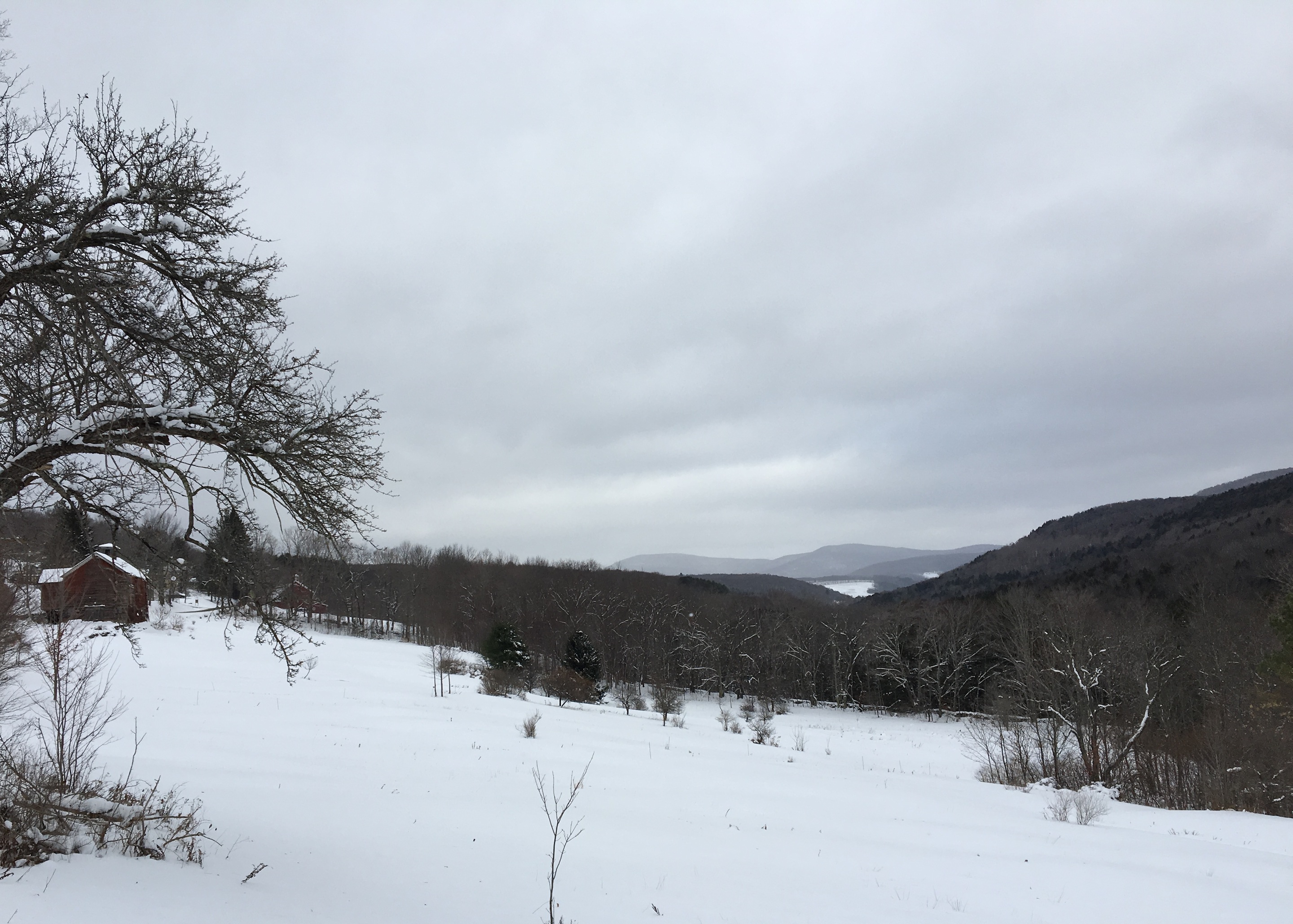 Catskills Snow UPSTATE DISPATCH