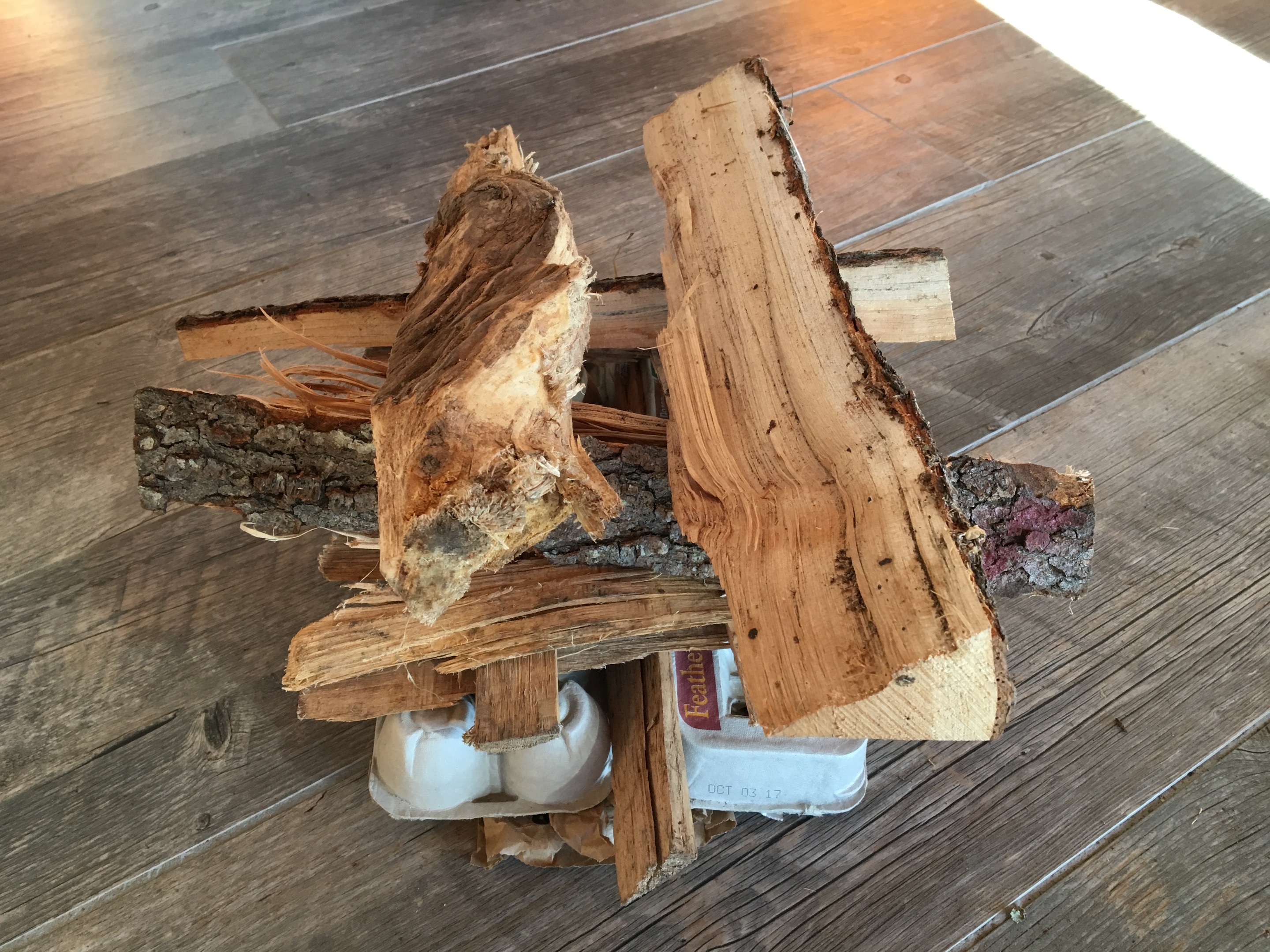 How To Quickly Build A Roaring Fire in a Cold Wood Stove UPSTATE DISPATCH