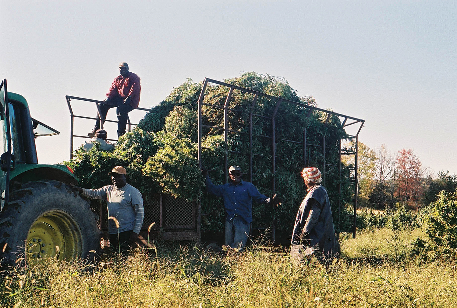 Hudson Hemp A Budding Example For Regenerative Agriculture Upstate House Upstate House