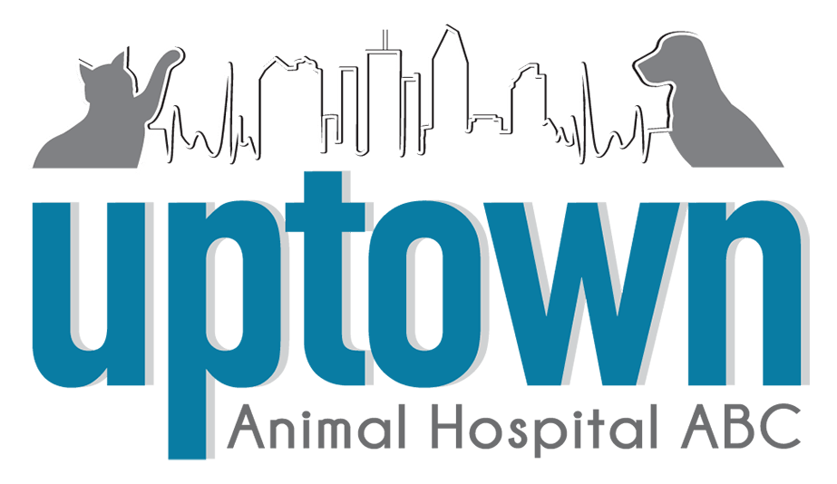 Home Uptown Animal Hospital ABC