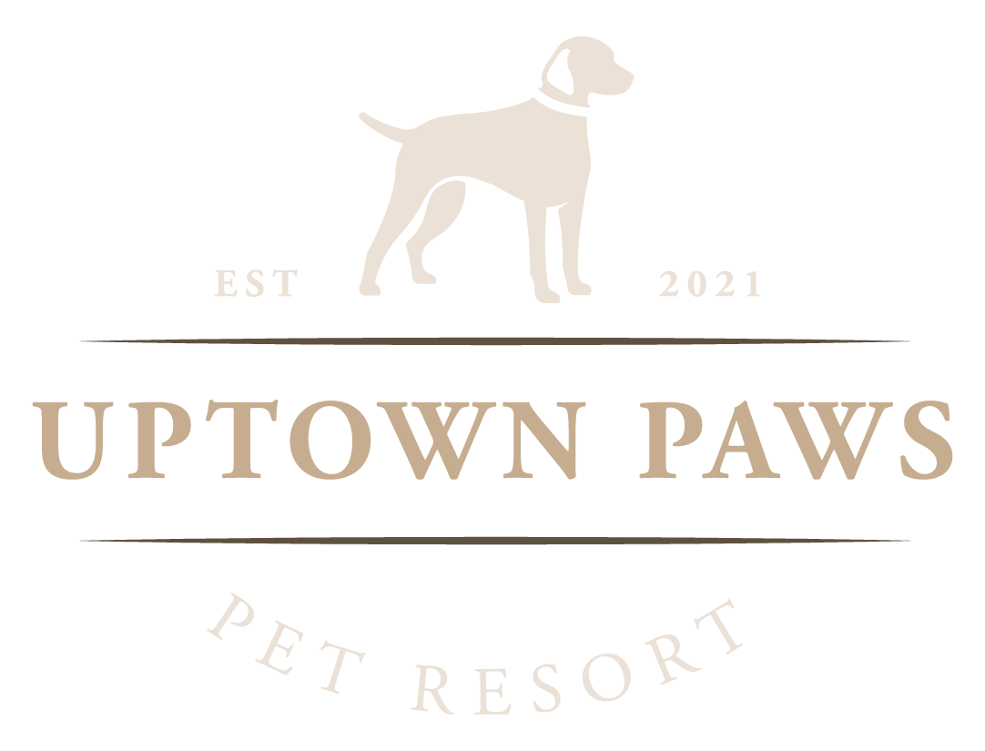 Uptown Paws Dothan Alabama's Premiere Pet Daycare & Boarding