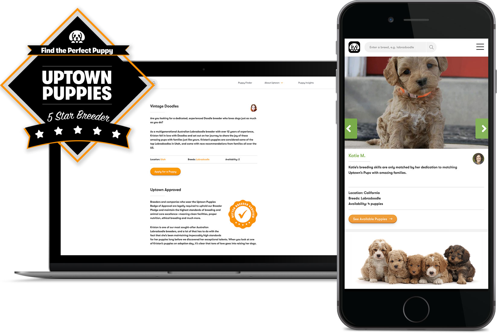 5 Star Puppies / Five Star Puppies Home Facebook It's not long before
