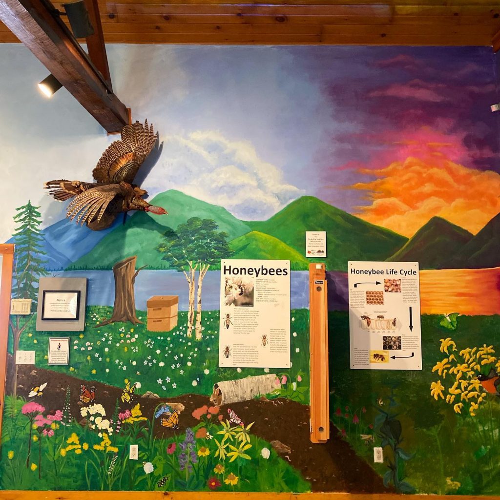 Mural created by Warrensburg Jr./Sr. Art Club, paints donated by Passano Paint, and observation bee hive donated by the Friends of Up Yonda Farm