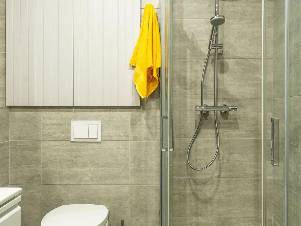 How to get rid of mold from a shower stall cheap but effective methods