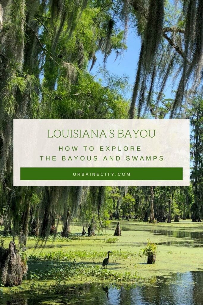 How to visit the bayou and swamps in Louisiana Urbaine City