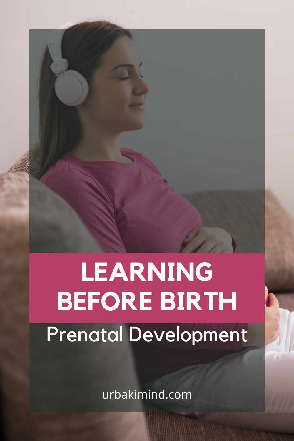 Learning Before Birth Prenatal Development Urbaki Mind