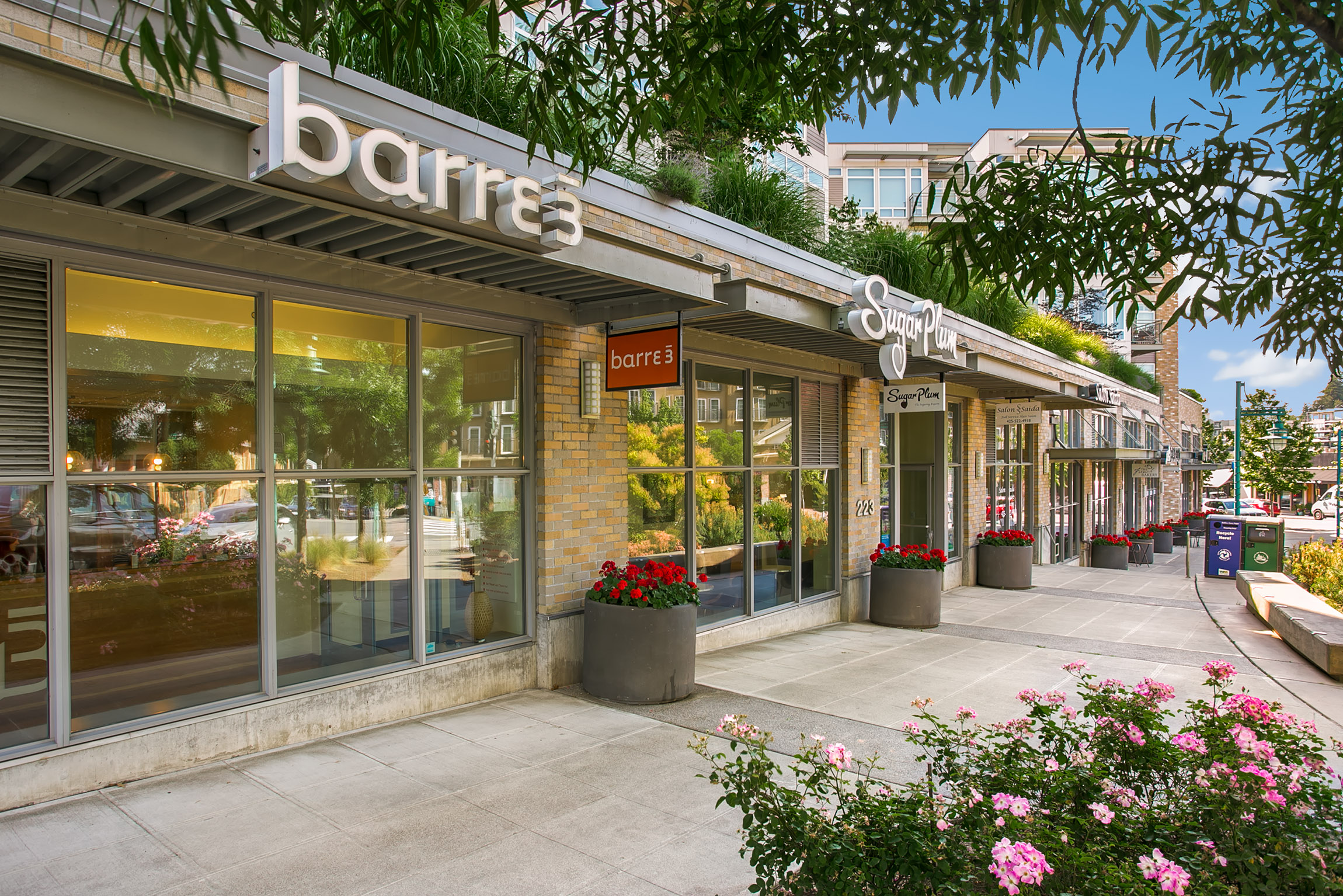 Kirkland Central Downtown 1 Bedroom Condo UrbanAsh Real Estate