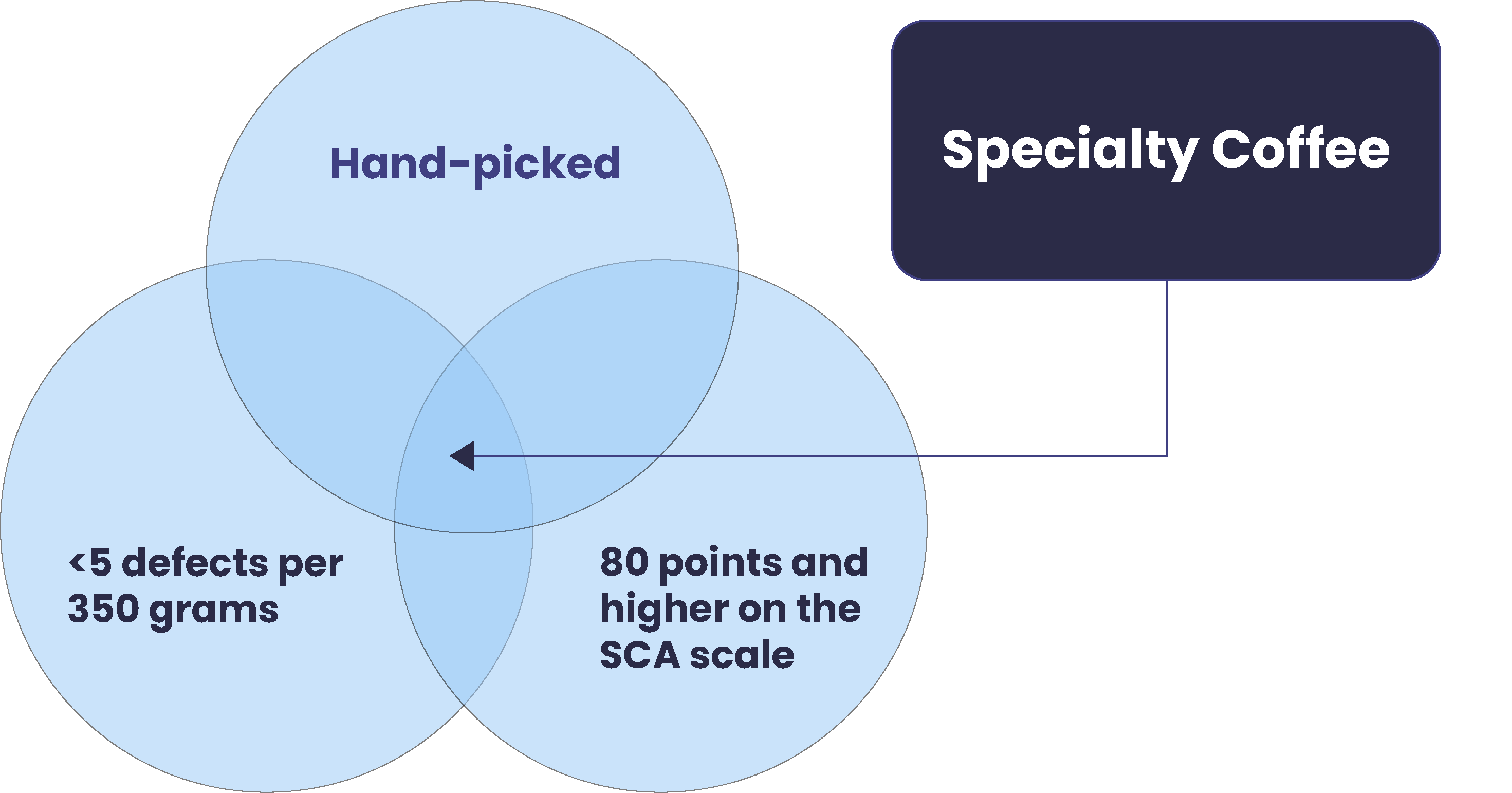 Specialty Coffee The Definitive Guide [2021] Urban Bean Coffee