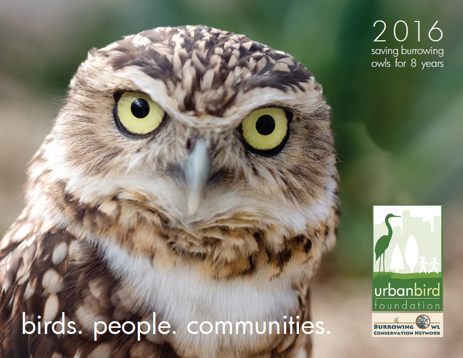 Urban Bird Foundation 2016 Annual Report Urban Bird Foundation Birds. People. Communities.