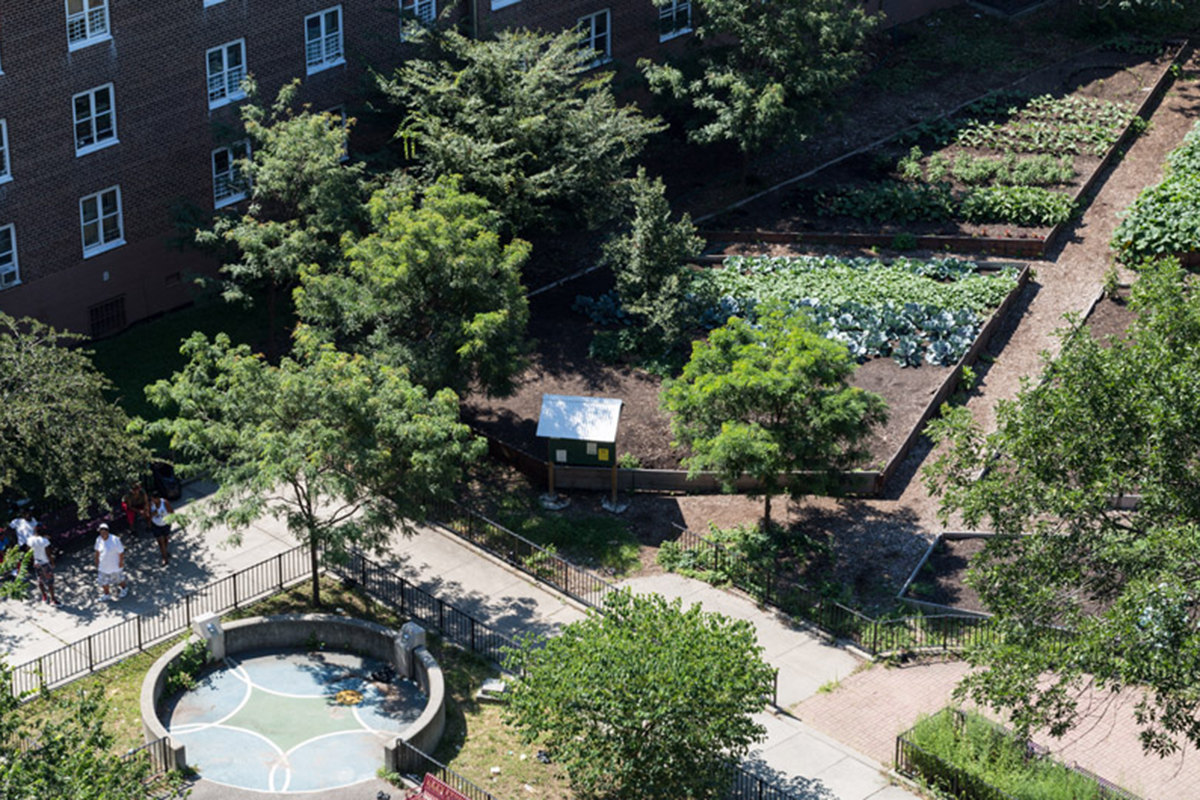 NYCHA Red Hook West Urban Farm Urban Design Forum