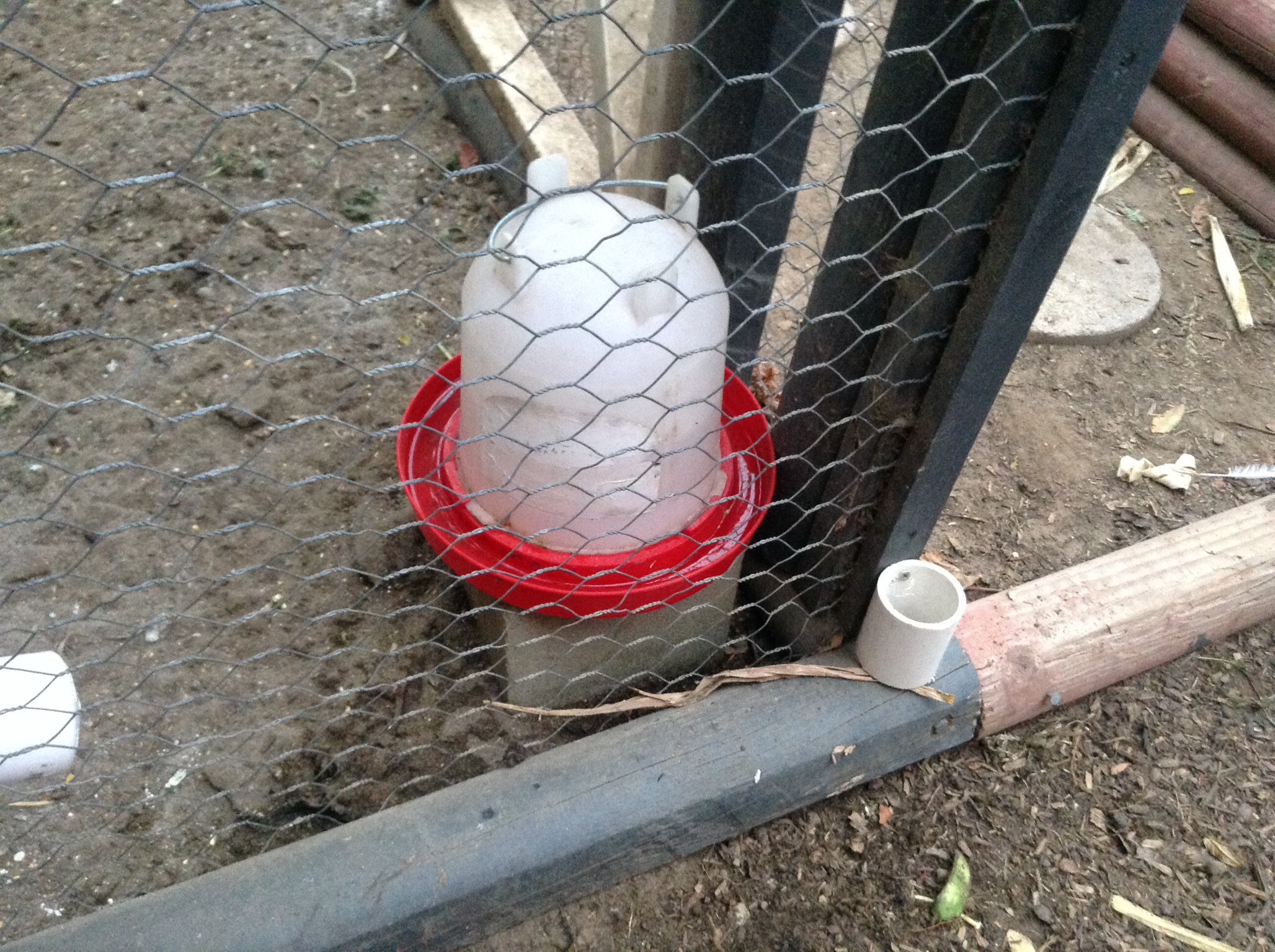 Your Own Chickens Part 2 The Coop Urban Dreamer