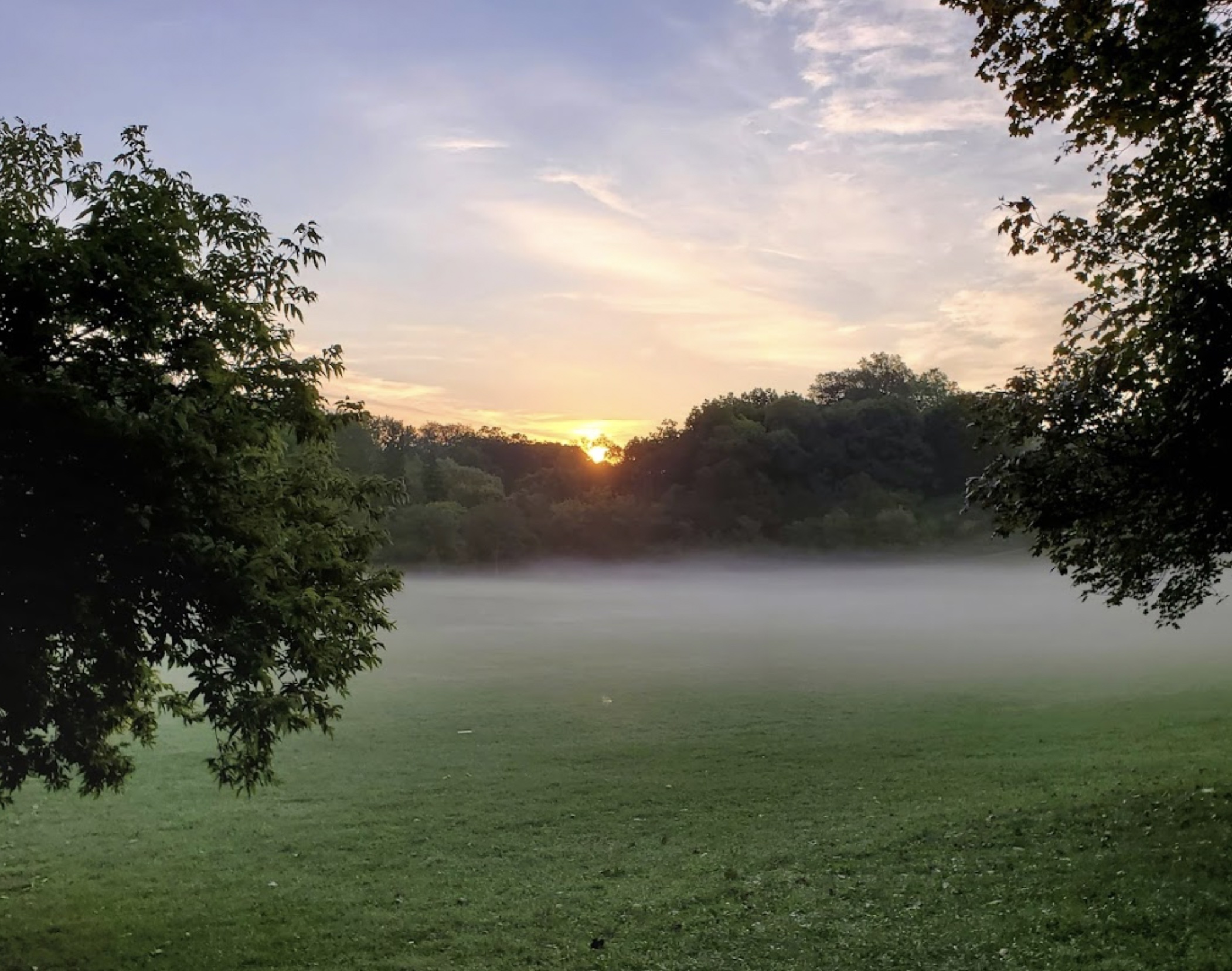 See You At Cedarvale Park! Urbaneer