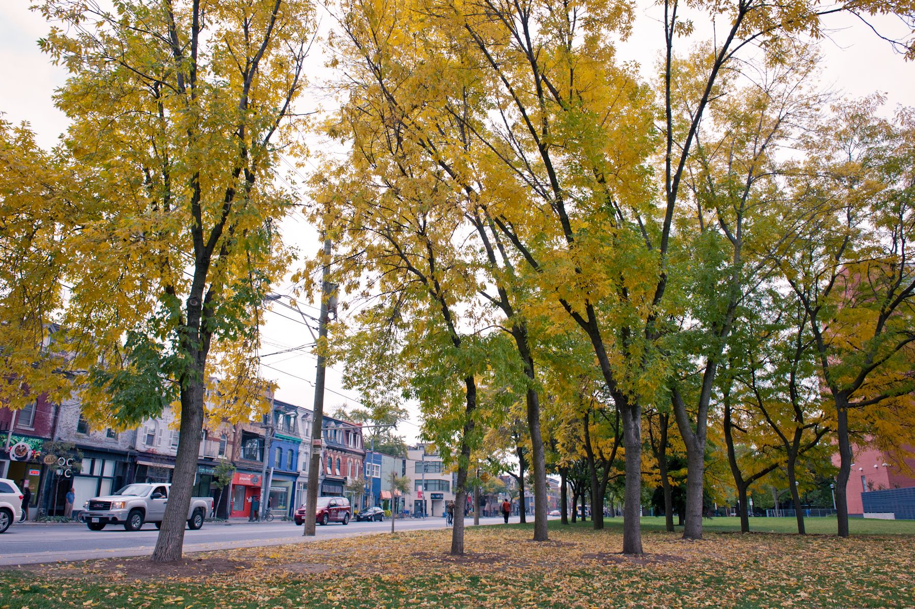 Queen West & West Queen West Urbaneer