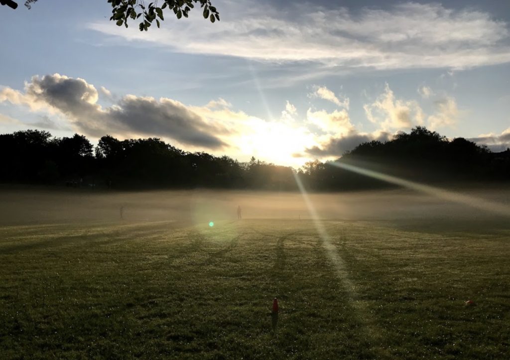 See You At Cedarvale Park! Urbaneer