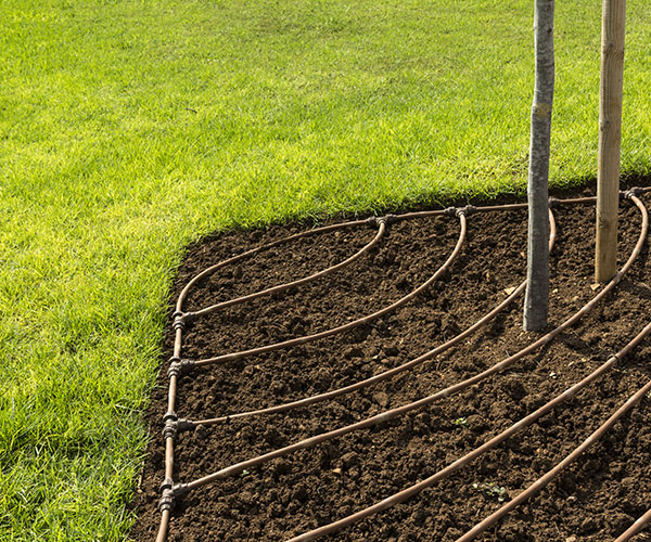 Wholesale Drip Irrigation Supplies The Urban Farmer Store