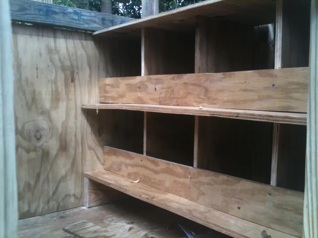 Tropical Chicken Coop Design Urban Fish Farmer