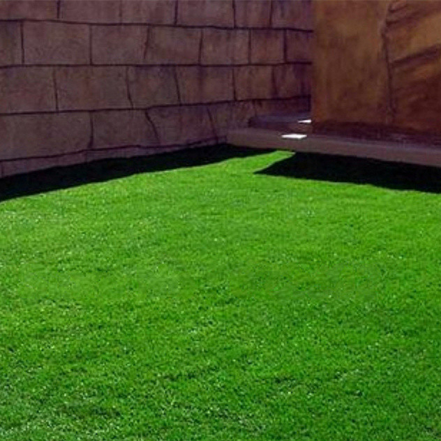 Garden Ground Cover Grass Seeds Green Source Turfgrass Grass Seeds