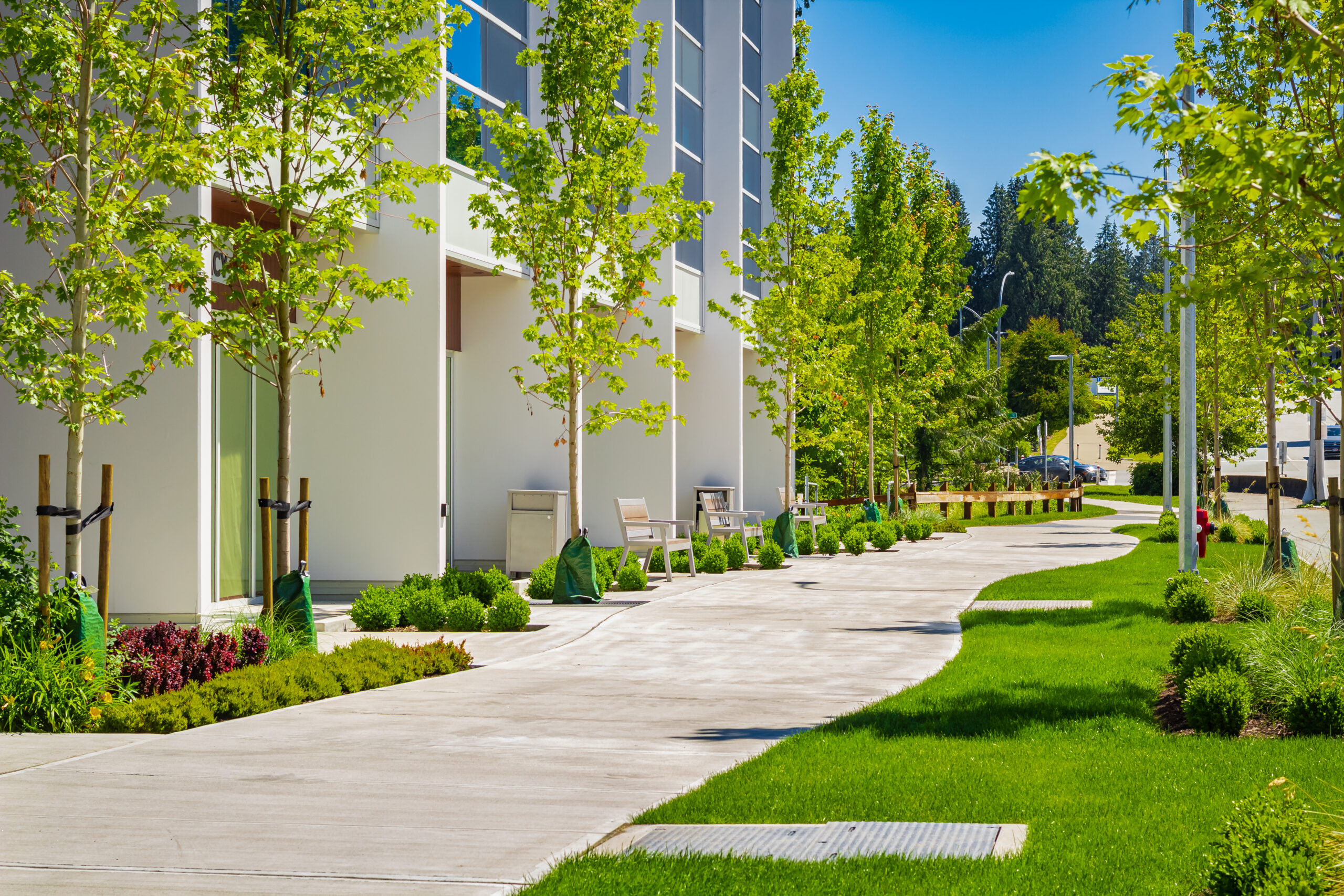 Orchard Hills Latest Planning & Development News