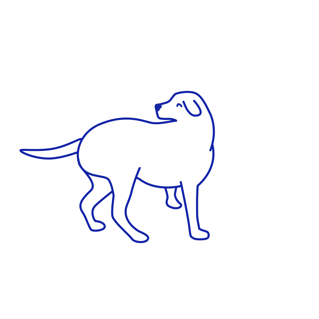 Wags Dog Rescue Branding Project Urban Influence