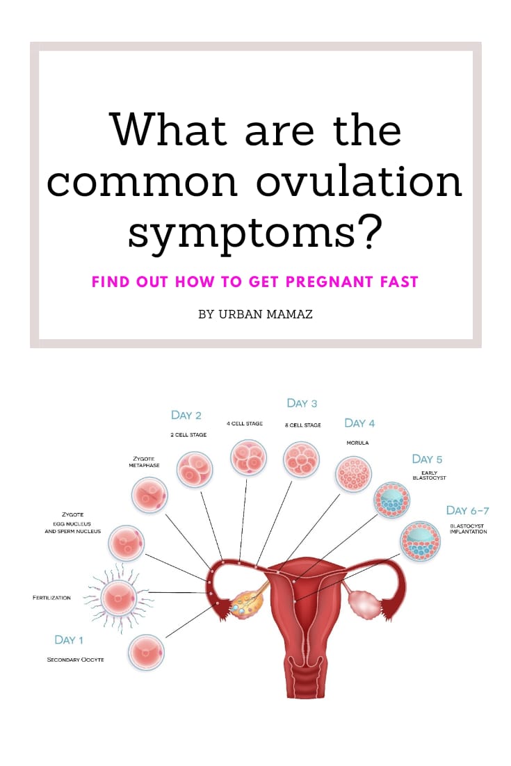 What are the common ovulation symptoms Urban Mamaz