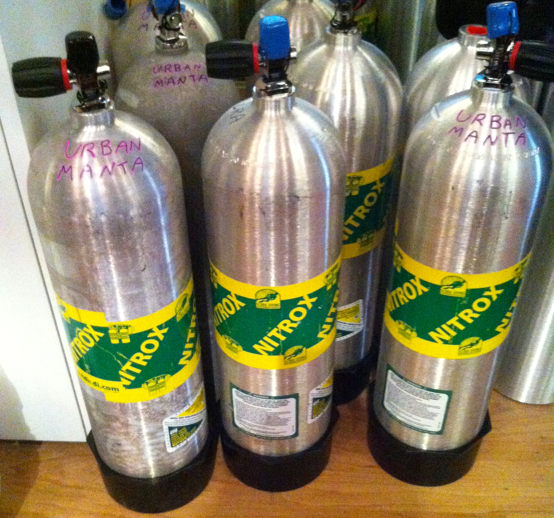 Nitrox Scuba NYC, North Fl Caves, Raleigh NC, & Playa Del Carmen, Mexico