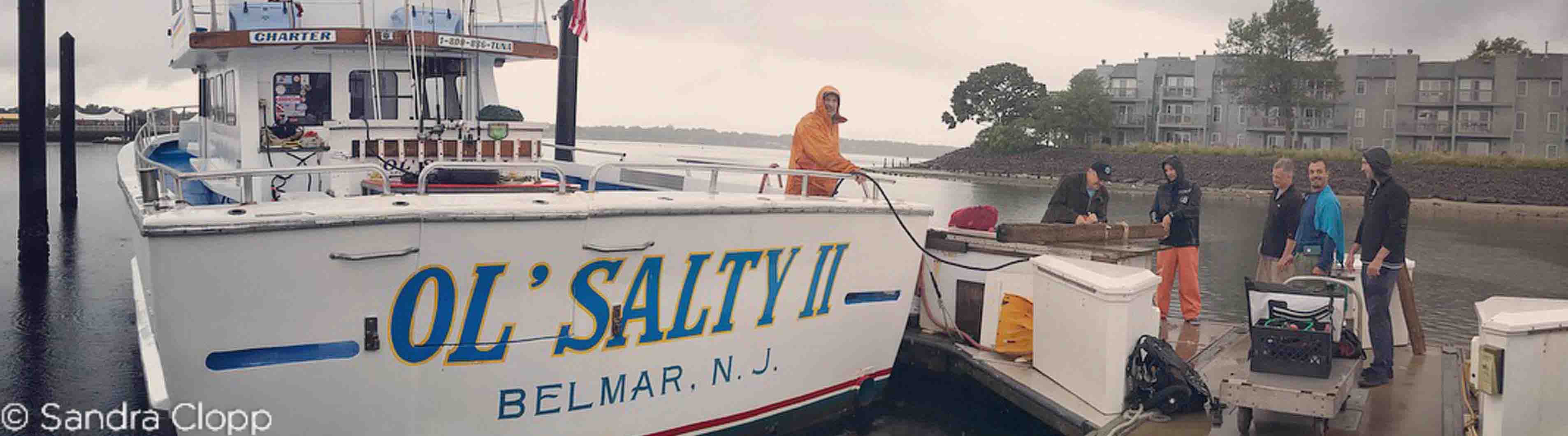 Local Diving Scuba NYC, North Fl Caves, Raleigh NC, & Playa Del