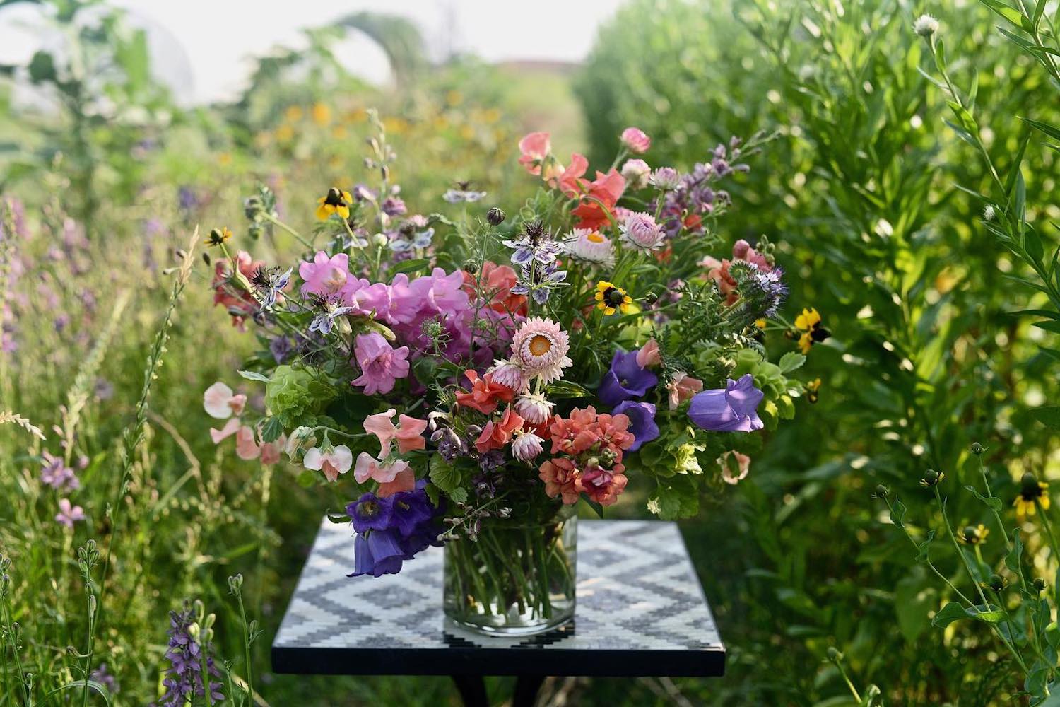 Best Flower Shops in Austin for Everything from Important Occasions to