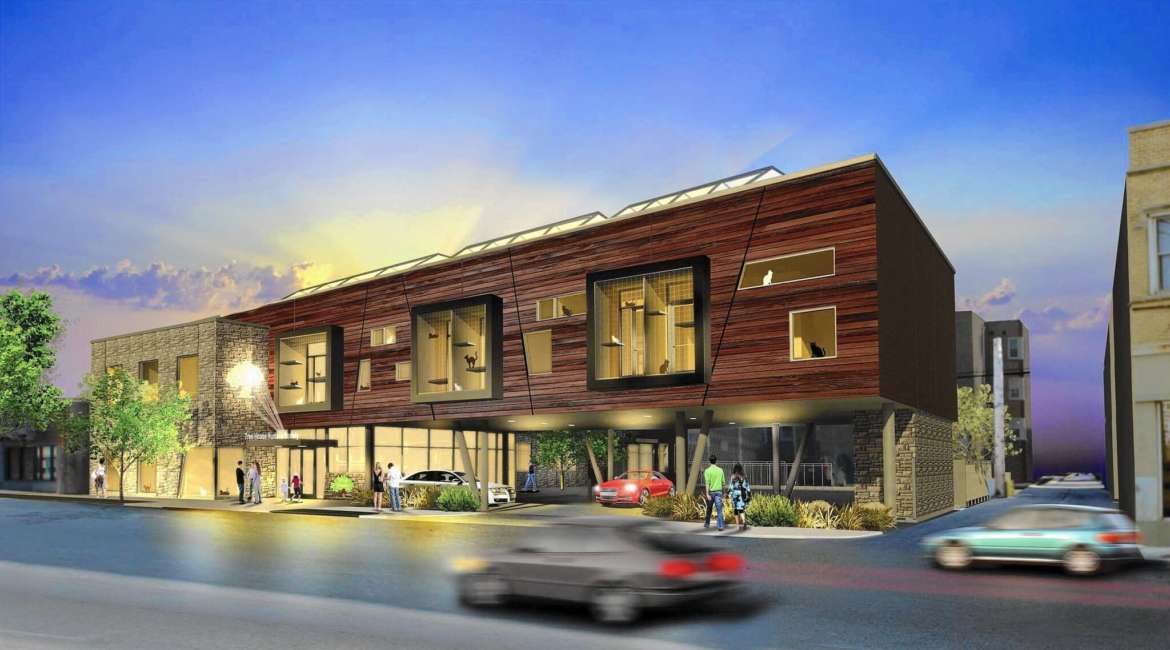 Chicago’s First Cat Café Is Coming UrbanMatter