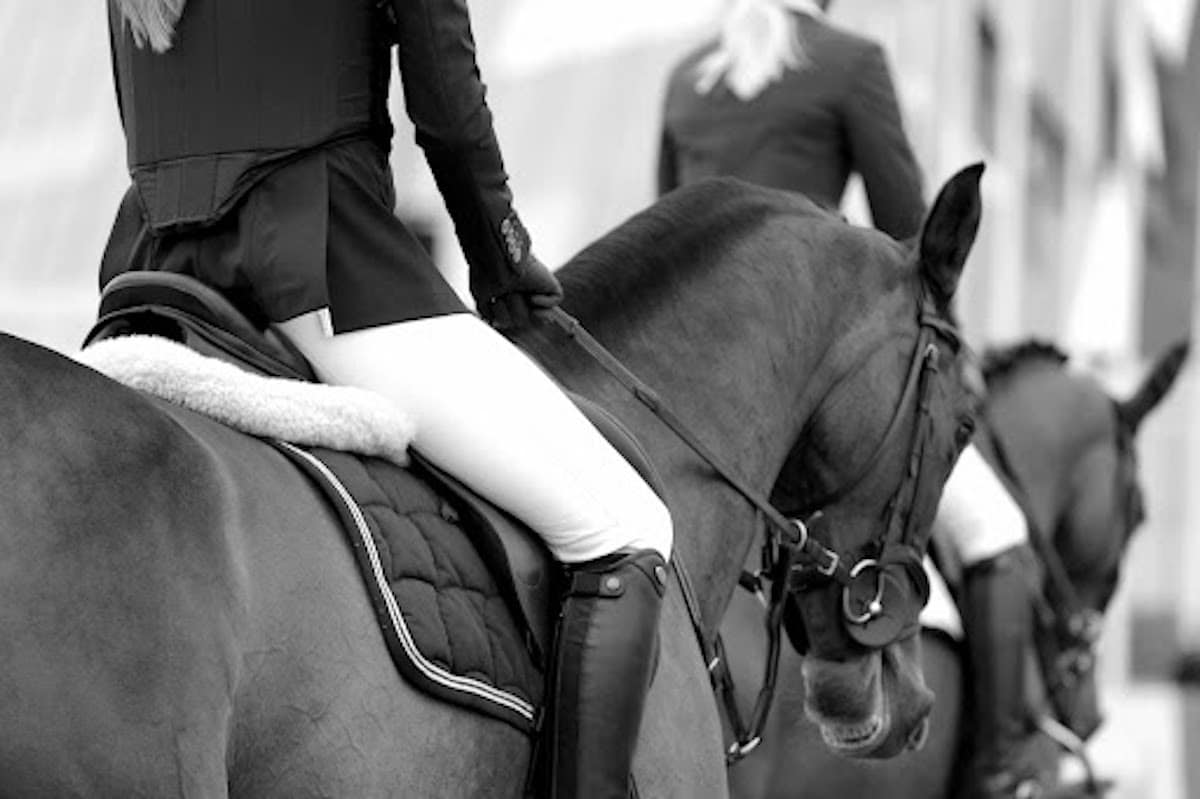 5 Best Equestrian Colleges UrbanMatter