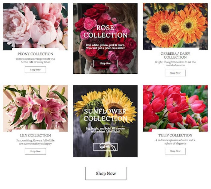 Apology Flowers UrbanMatter