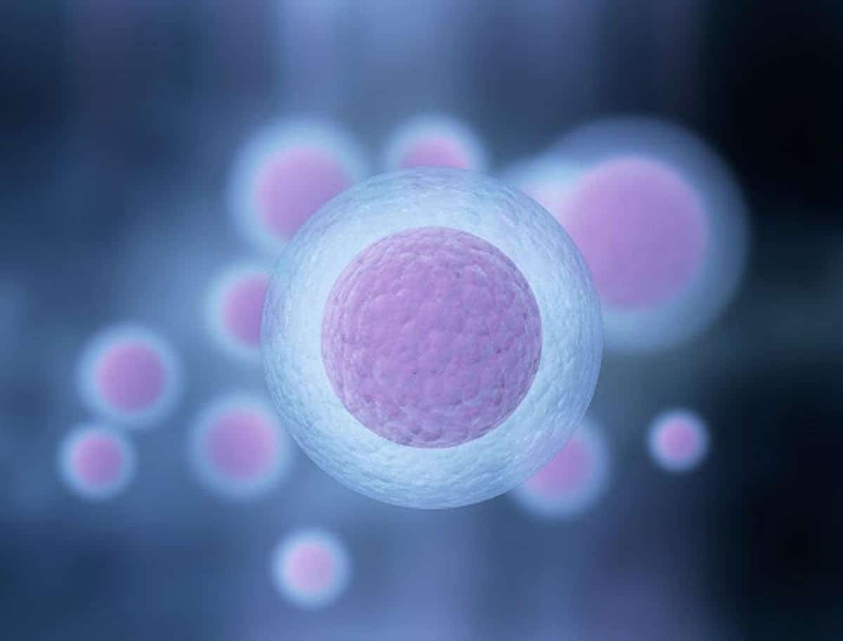 What is Egg Donation, and How Does it Work? UrbanMatter