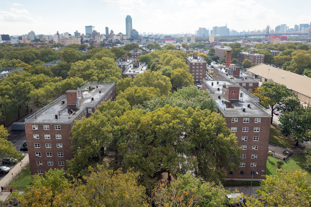 Ravenswood Urban Omnibus